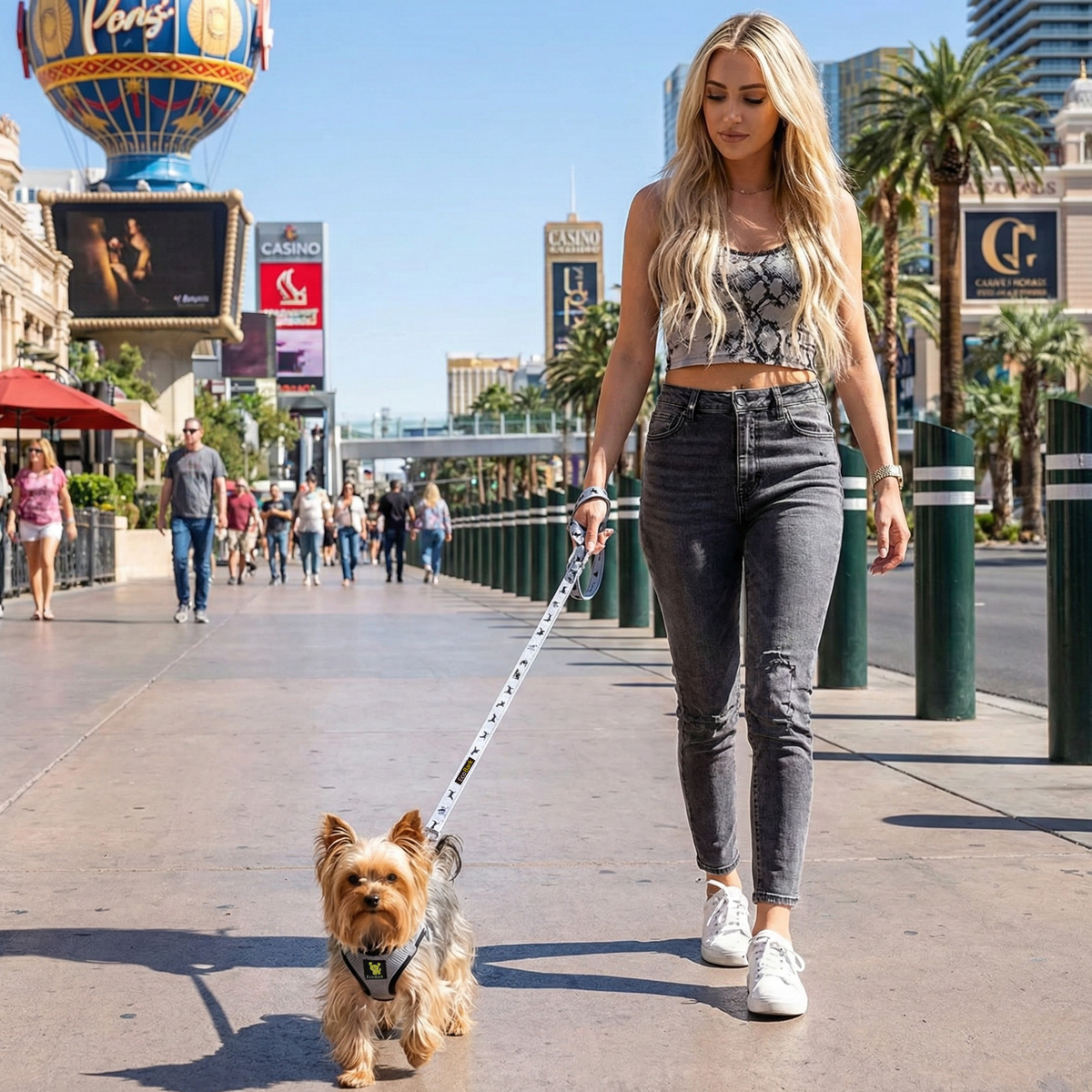 EcoBark – Gray Comfort Grip Padded Dog Leash
