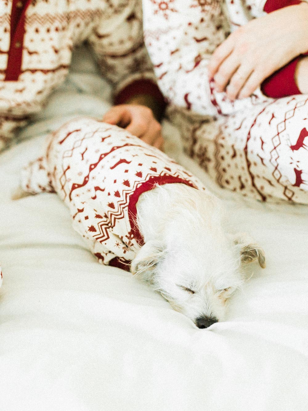 Festive Fam Holiday Pajama