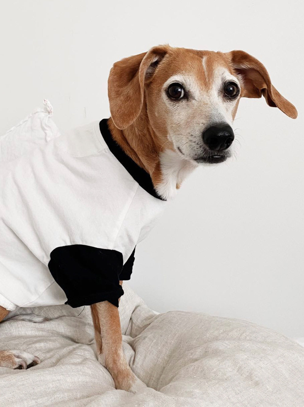 Classique Baseball Tee