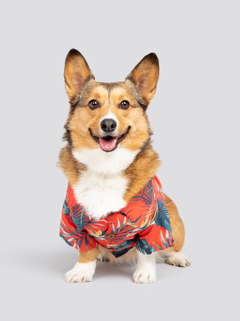 Jungle Bird BBQ Shirt - HT Animal Supply