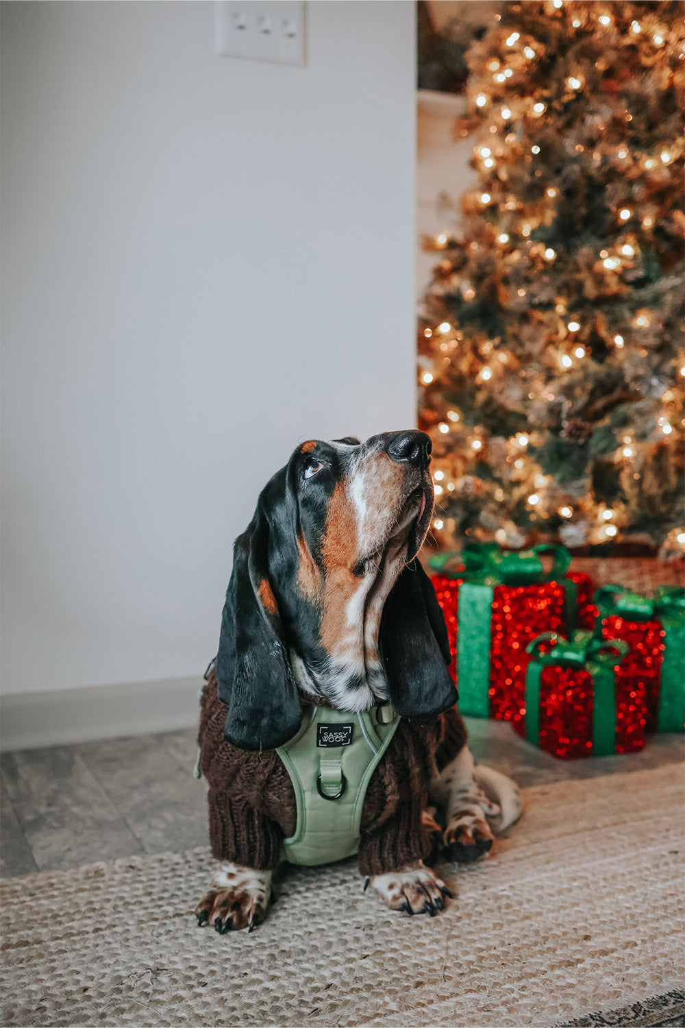 Dog Step-in Harness - Matcha