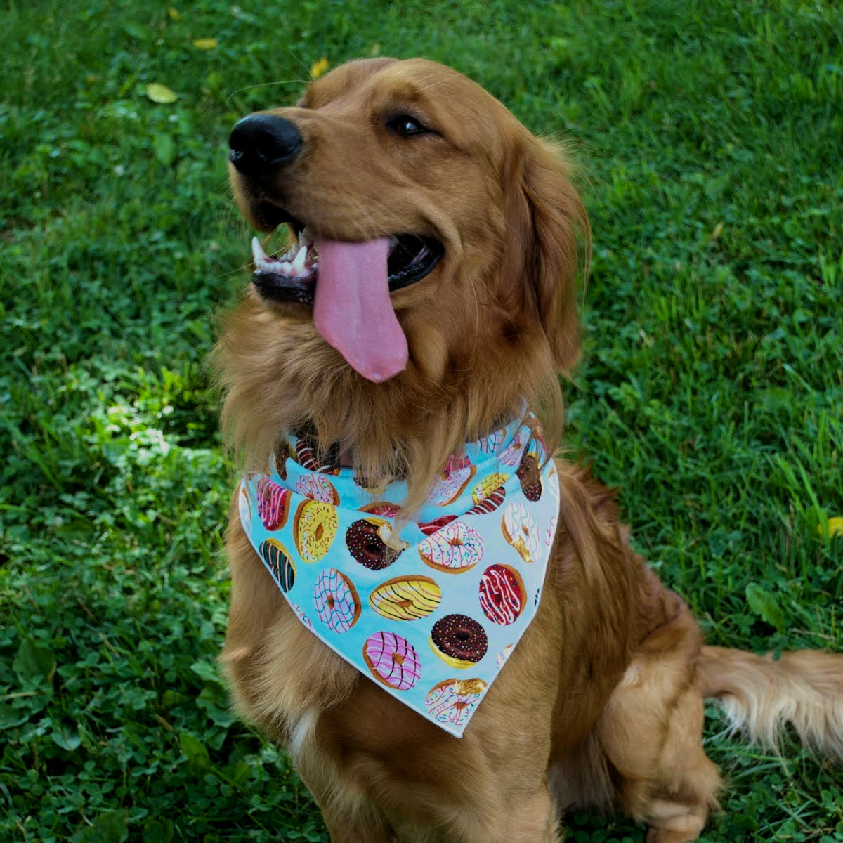 Donuts Tie Dog Bandana