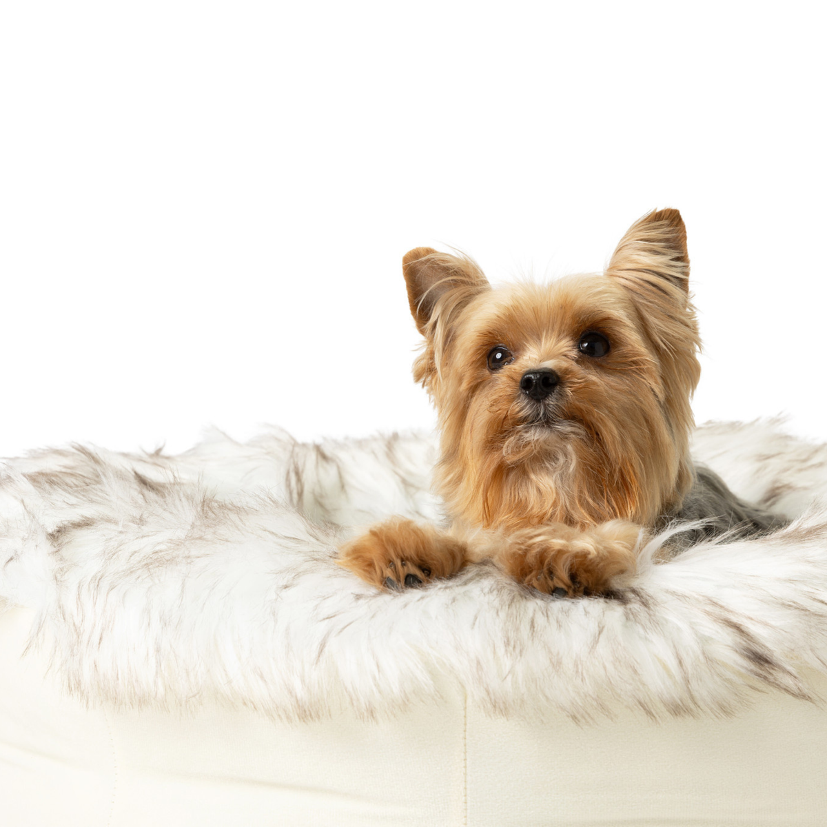 PupPoufFaux Fur Donut Dog Bed White with Brown Accents