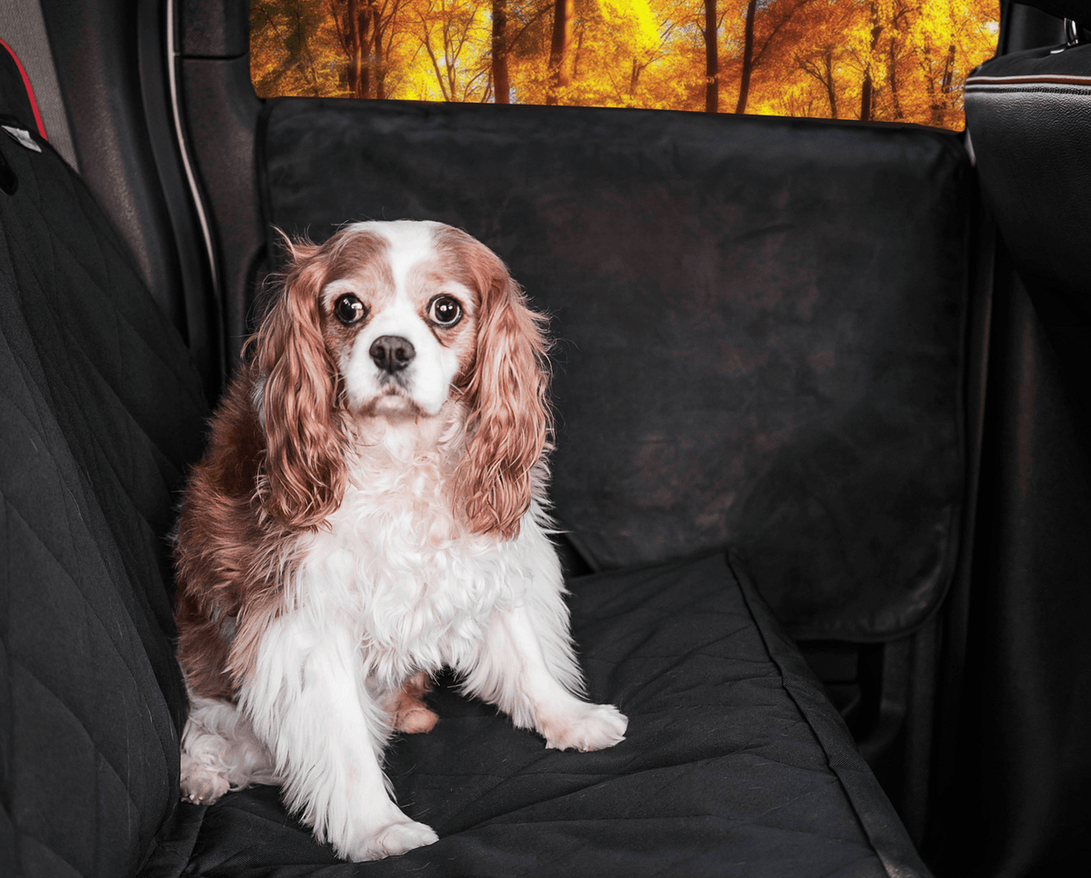 PupProtector Car Door Guard 2 Pack 