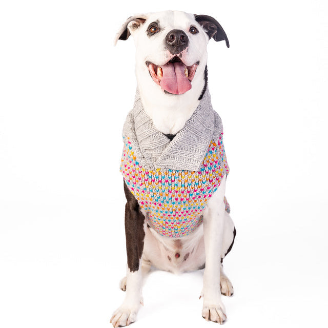 Chilly Dog Sprinkles Wool Dog Sweater