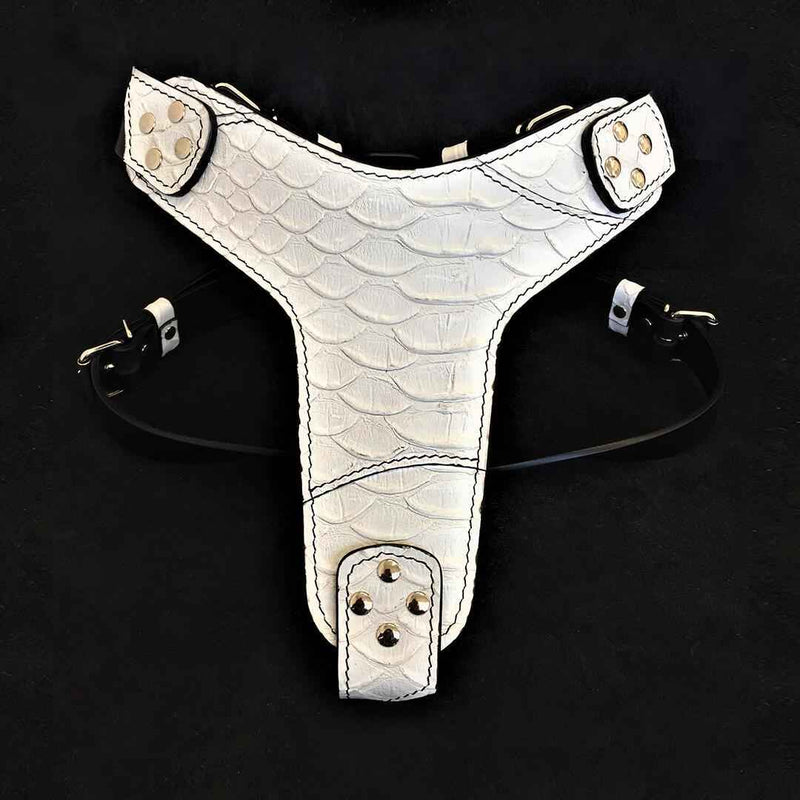 Bestia Dragon Scale Leather Dog Harness