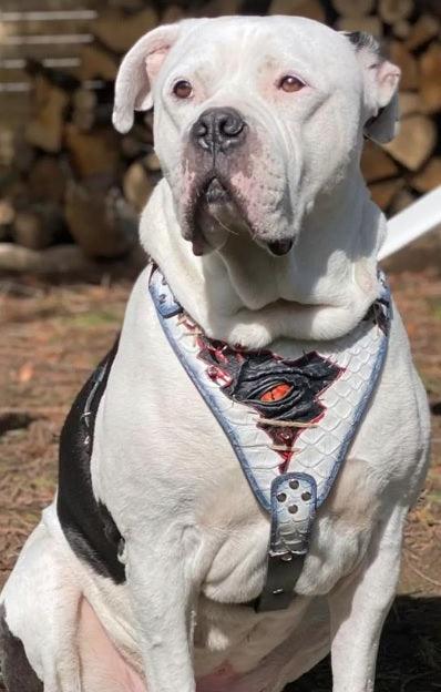 Bestia Dog Gear Genuine Leather Dog Harness - XXL 