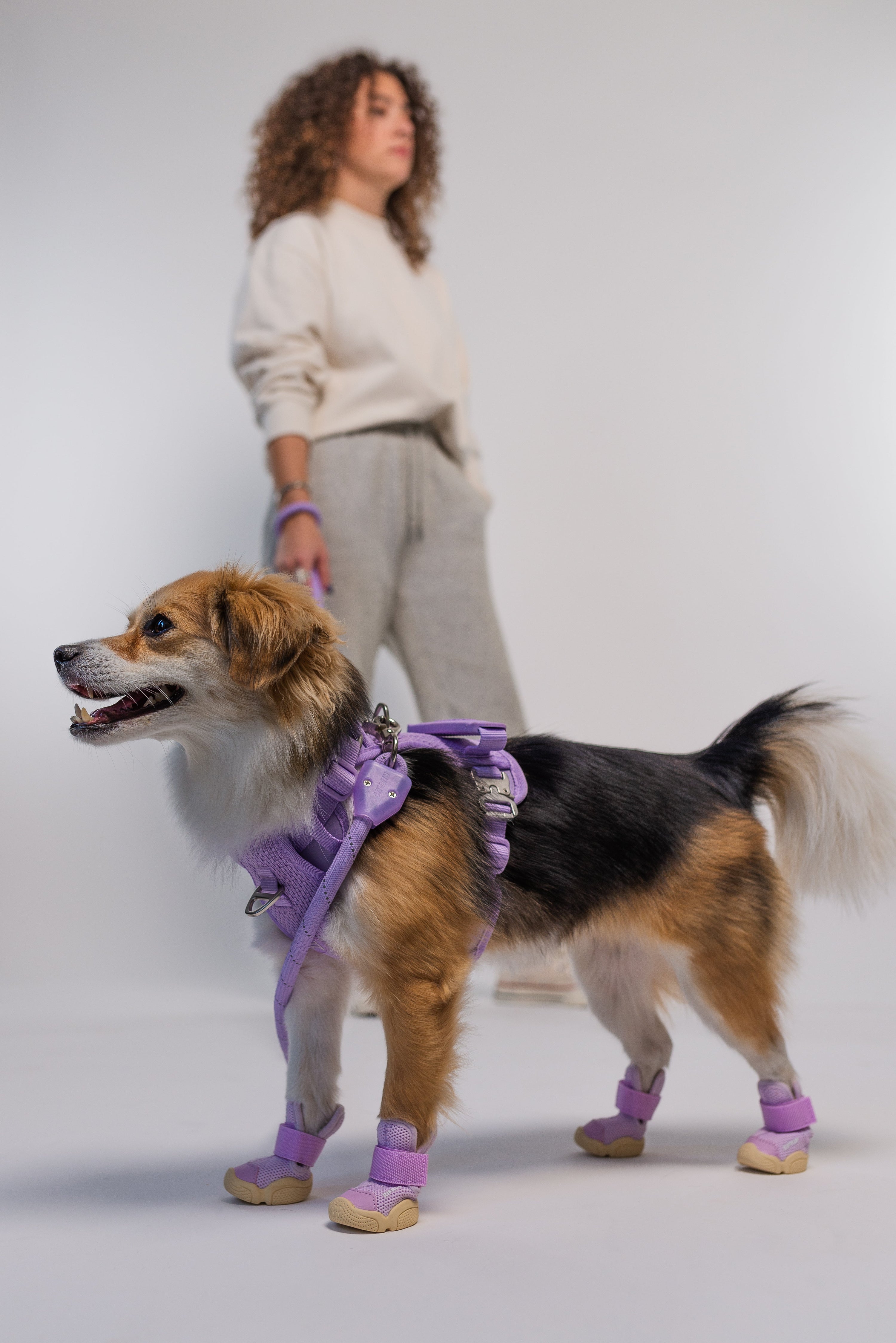 RIFRUF Caesar 1 Dog Sneakers Ember