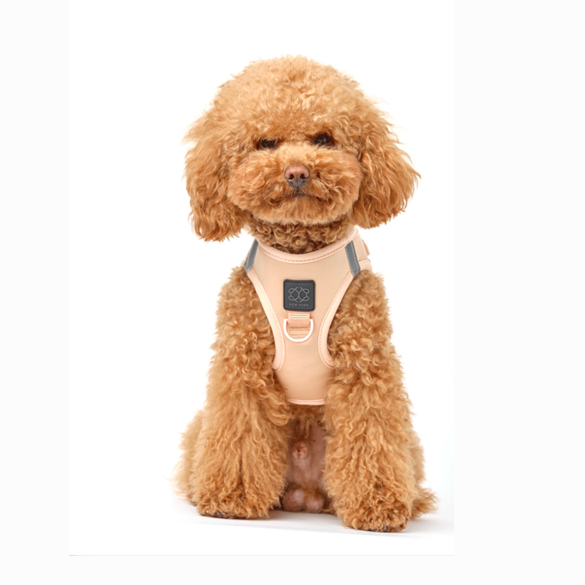 DOGISTRY SoHo Dog Harness - Dune