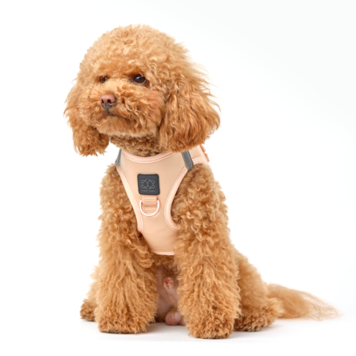 DOGISTRY SoHo Dog Harness - Dune
