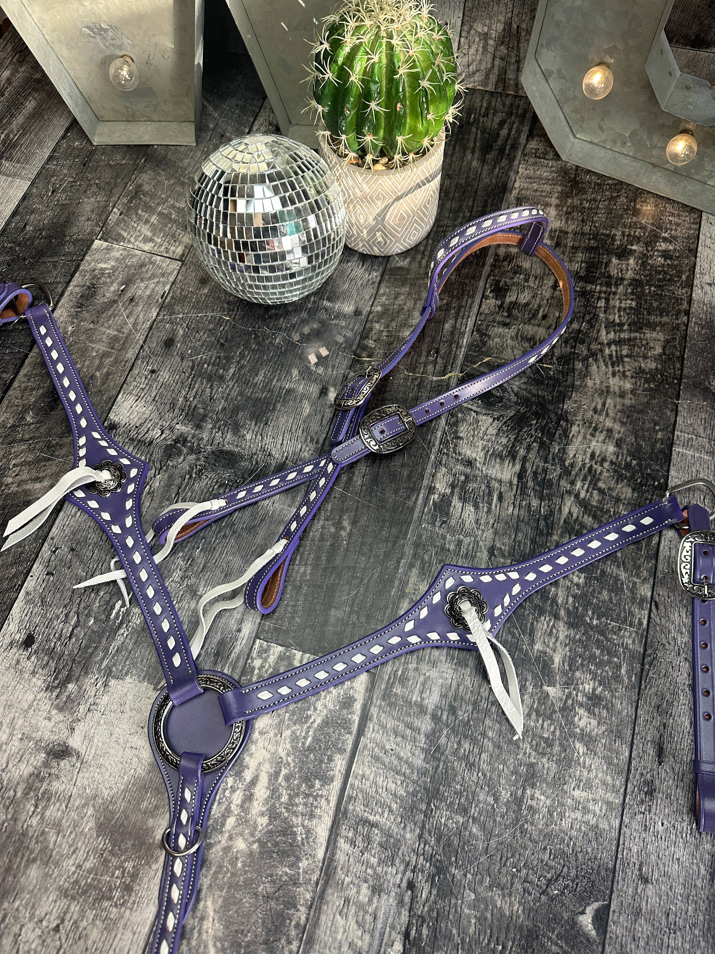 Buckstitchin Beauty Purple Tack Set