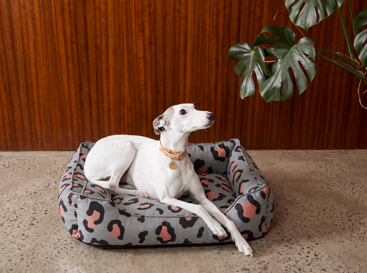 Chester & Lee Velvet Sleeper Dog Bed Gray & Peach Leopard Print