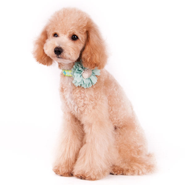 DOGO EasyBOW Flower 1 Dog Collar Flower Bow