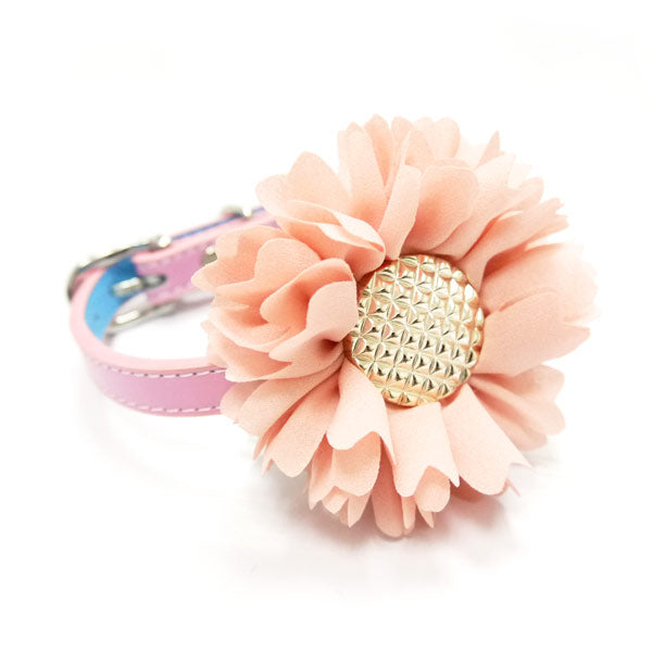 DOGO EasyBOW Flower 1 Dog Collar Flower Bow
