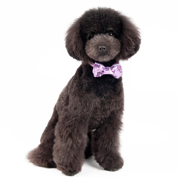 DOGO EasyBOW Sequin Dog Bow Tie