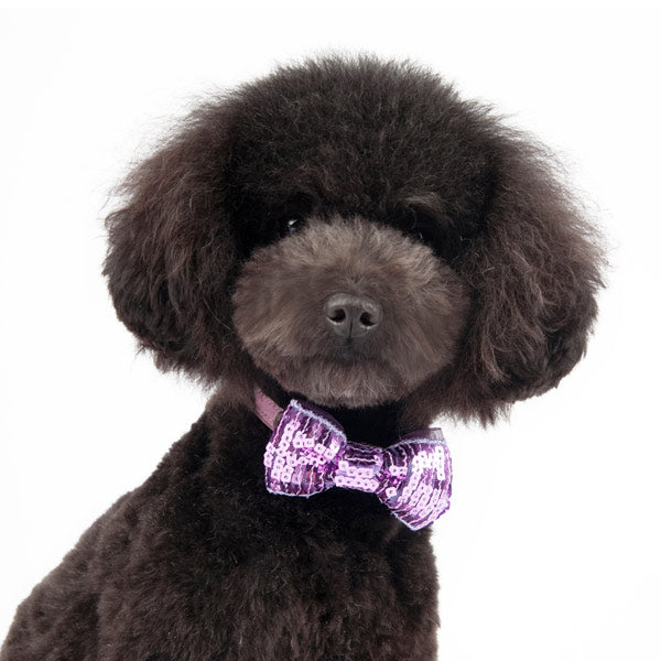 DOGO EasyBOW Sequin Dog Bow Tie