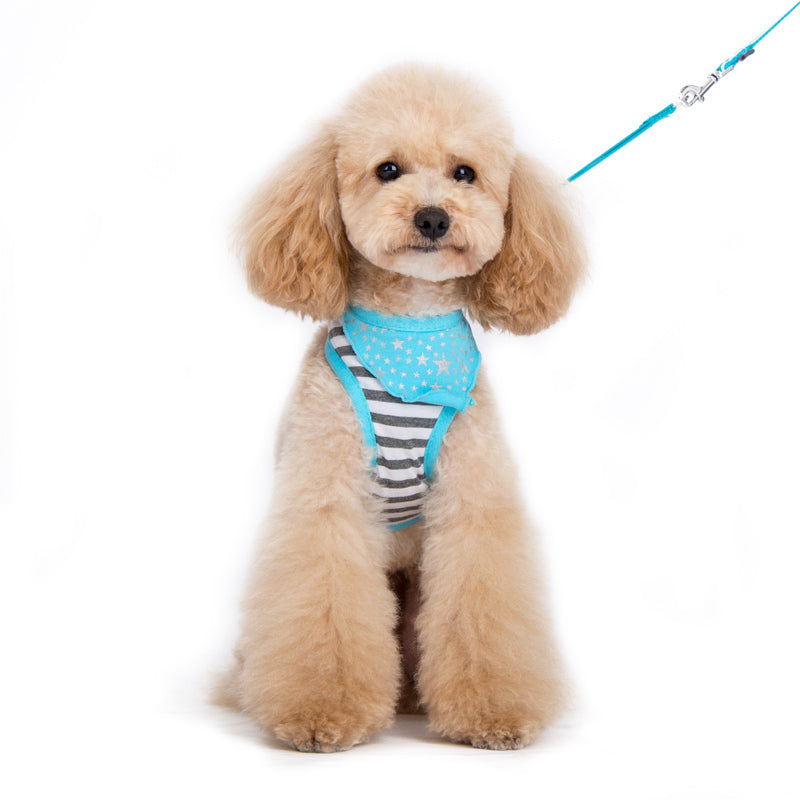 DOGO EasyGO Bandana Dog Harness and Leash Set