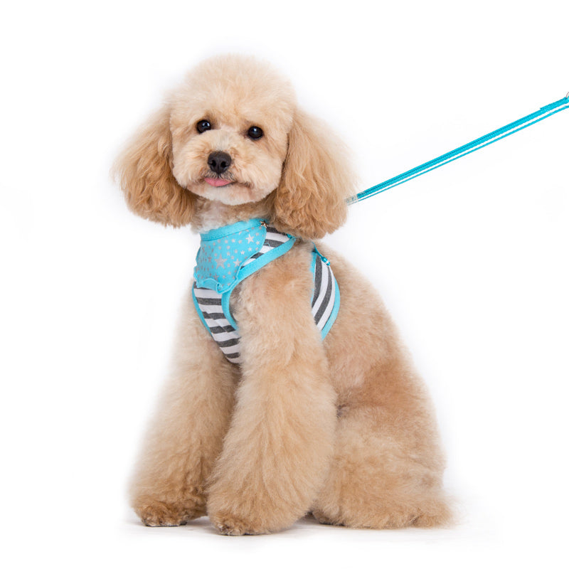 DOGO EasyGO Bandana Dog Harness and Leash Set