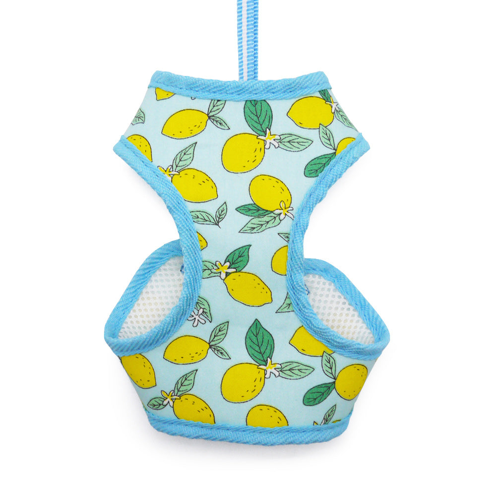 DOGO EasyGO Lemon Dog Harness and Leash Set