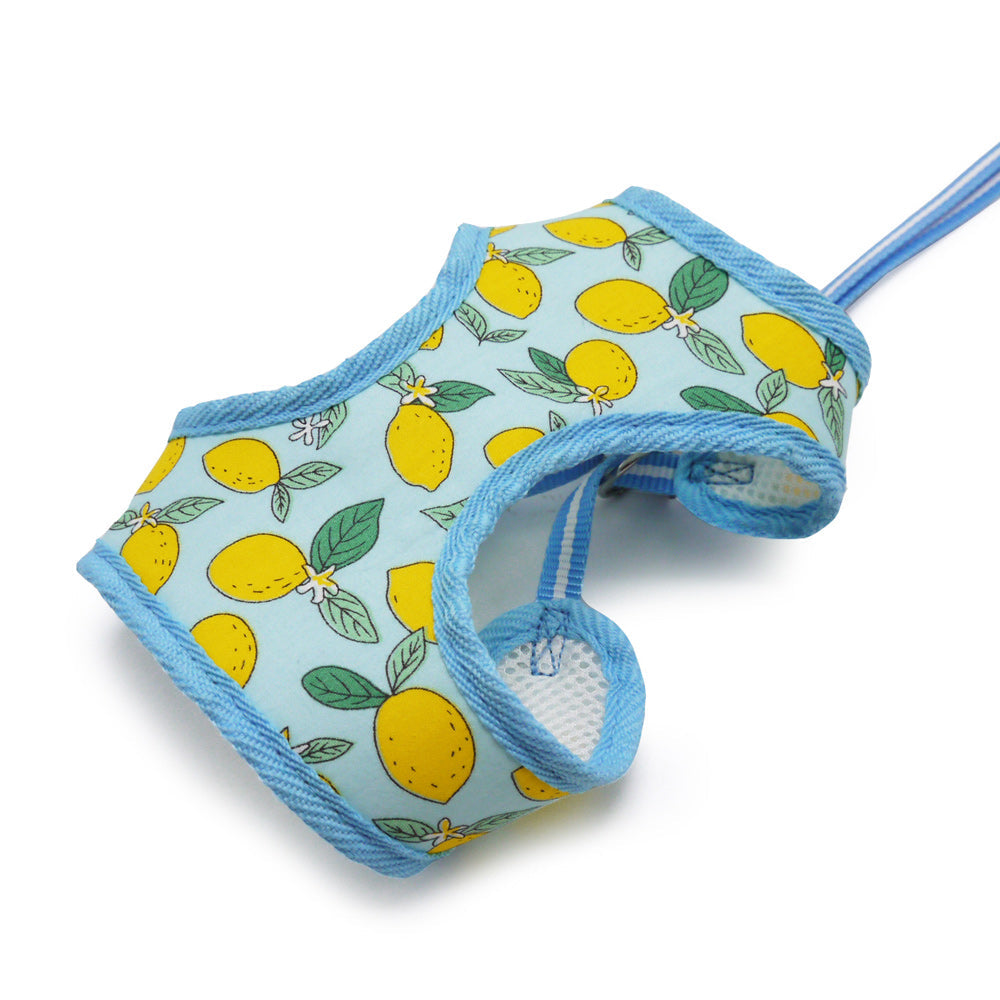 DOGO EasyGO Lemon Dog Harness and Leash Set