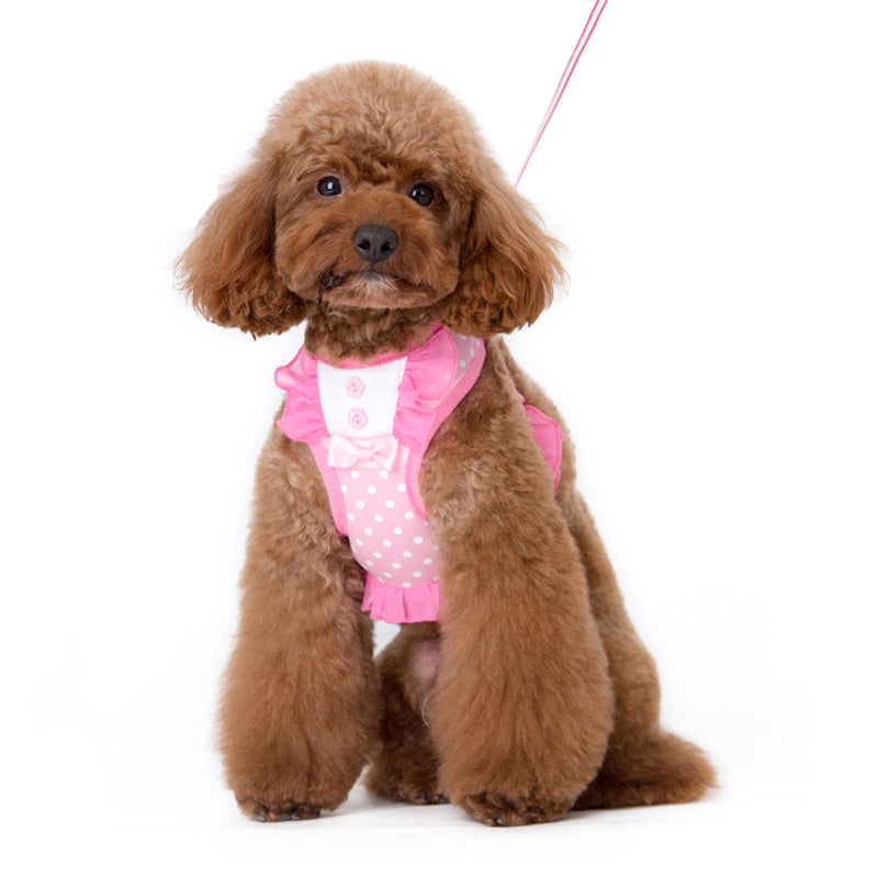 DOGO EasyGO Bow Dots Dog Harness and Leash Set