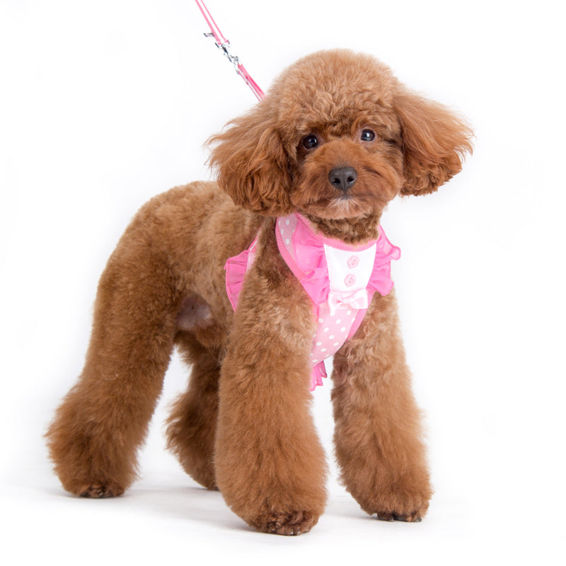 DOGO EasyGO Bow Dots Dog Harness and Leash Set