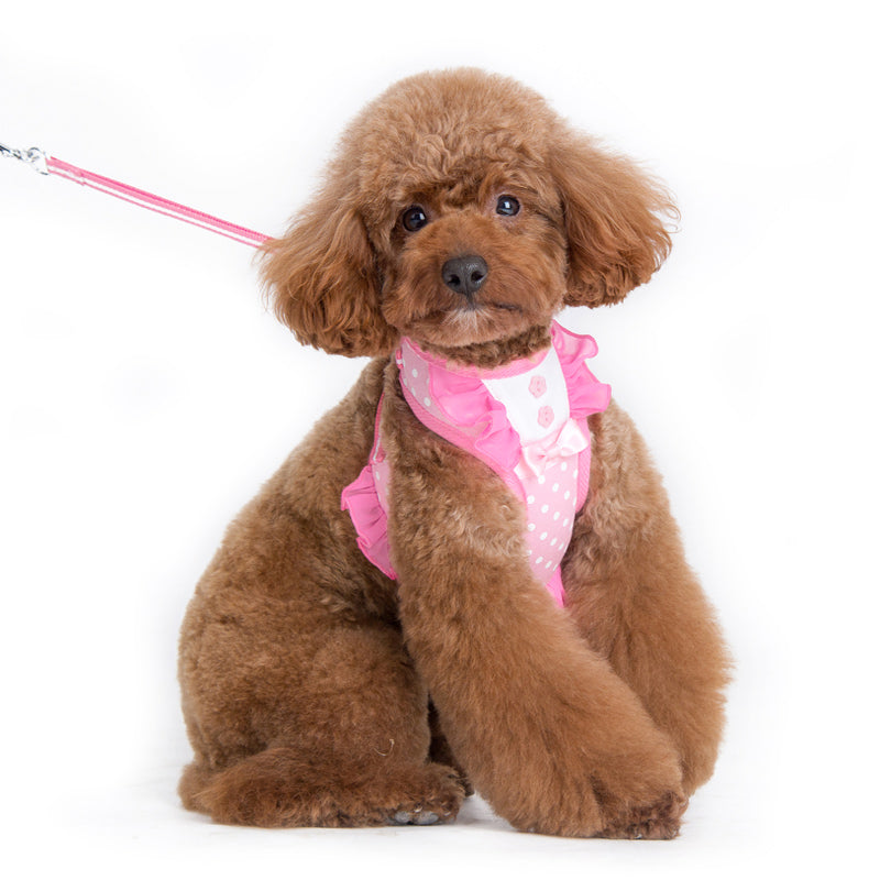 DOGO EasyGO Bow Dots Dog Harness and Leash Set