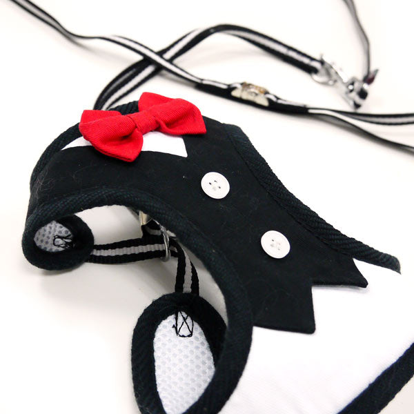 DOGO EasyGO Bow Tie Dog Harness and Leash Set
