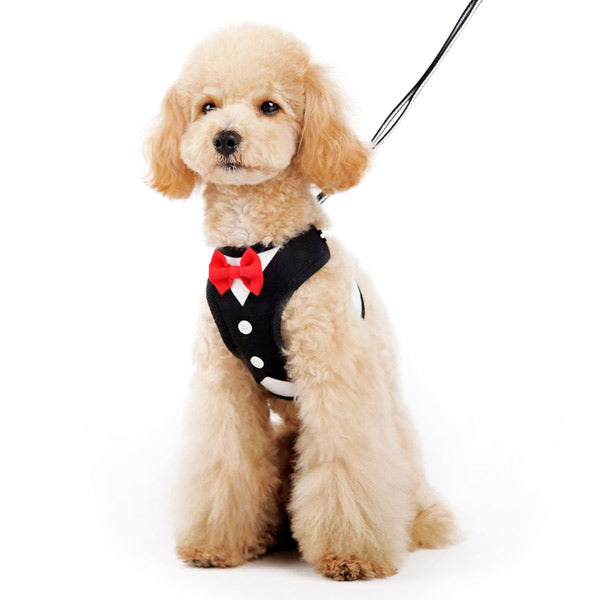 DOGO EasyGO Bow Tie Dog Harness and Leash Set
