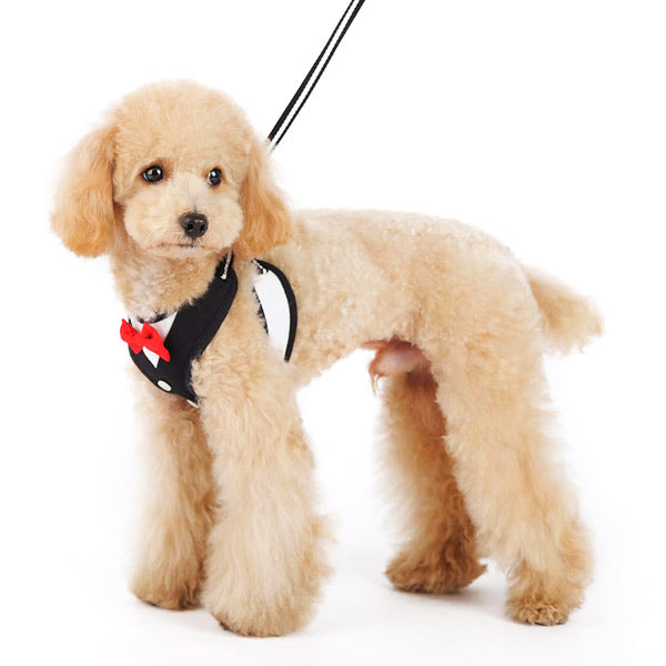 DOGO EasyGO Bow Tie Dog Harness and Leash Set