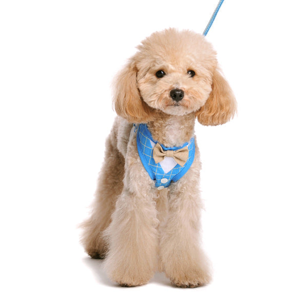 DOGO EasyGO Bow Tie Dog Harness and Leash Set