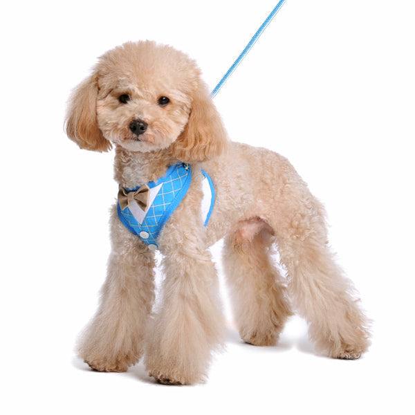 DOGO EasyGO Bow Tie Dog Harness and Leash Set