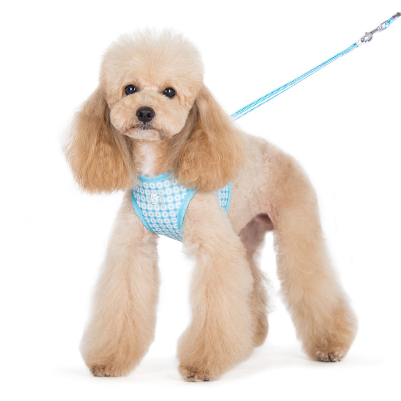 DOGO EasyGO Dots Dog Harness and Leash Set