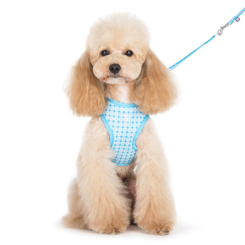 DOGO EasyGO Dots Dog Harness and Leash Set
