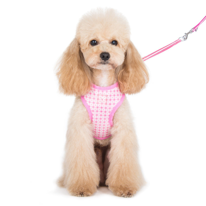DOGO EasyGO Dots Dog Harness and Leash Set