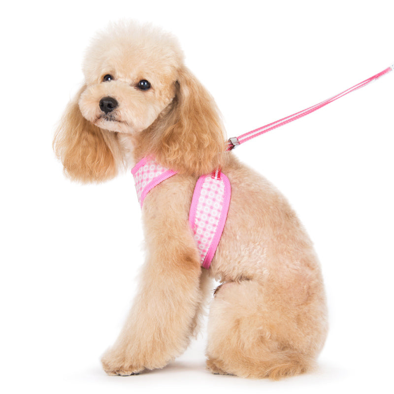 DOGO EasyGO Dots Dog Harness and Leash Set