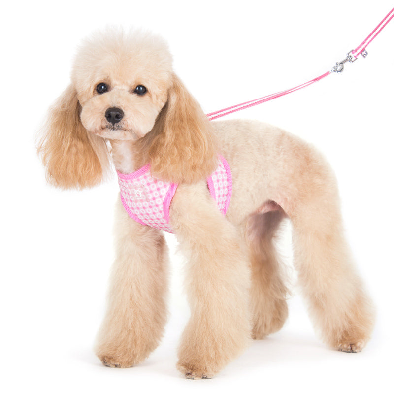 DOGO EasyGO Dots Dog Harness and Leash Set