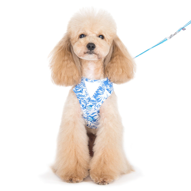 DOGO EasyGO Hawaii Dog Harness and Leash Set