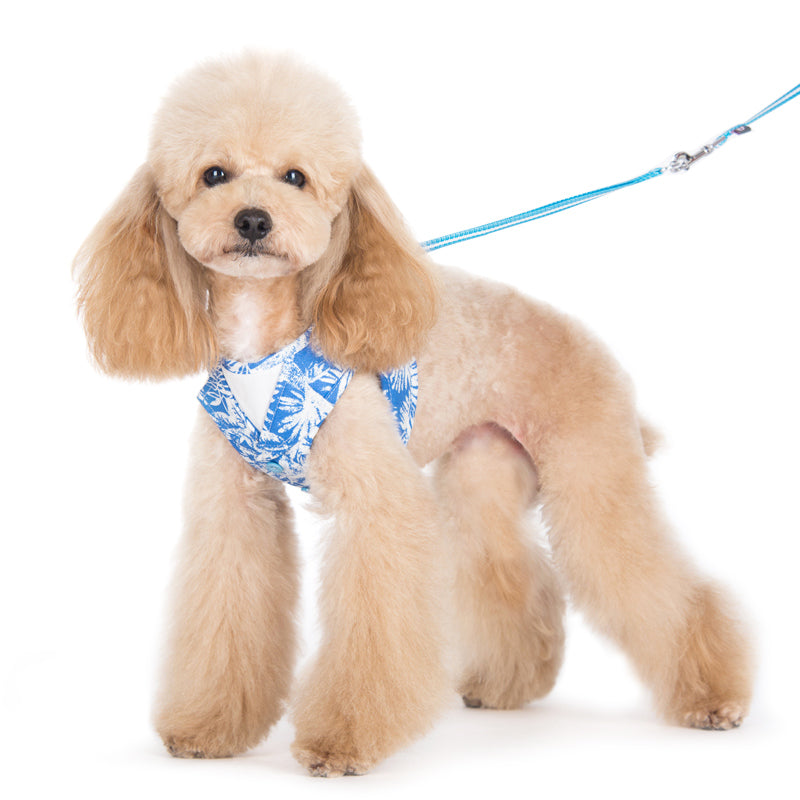 DOGO EasyGO Hawaii Dog Harness and Leash Set