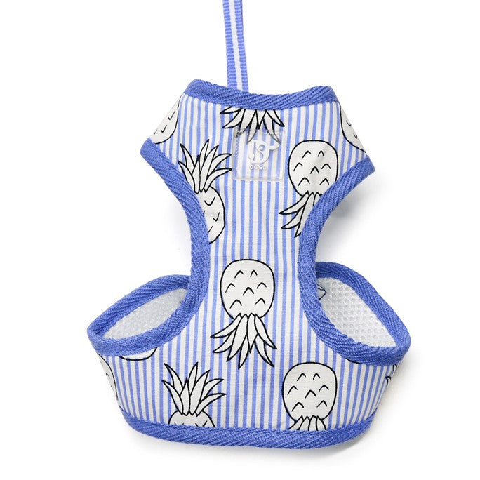 DOGO EasyGO Pineapple Stripe Dog Harness and Leash Set