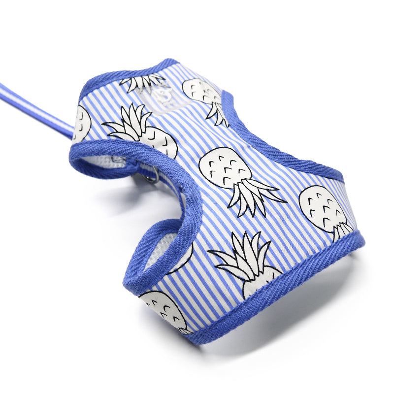 DOGO EasyGO Pineapple Stripe Dog Harness and Leash Set