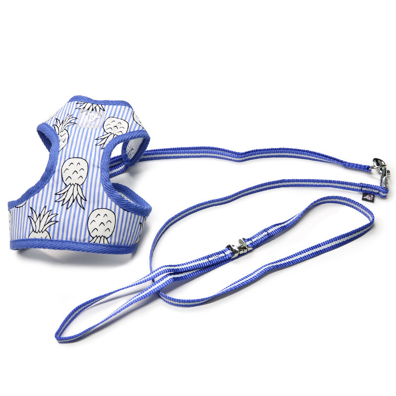 DOGO EasyGO Pineapple Stripe Dog Harness and Leash Set
