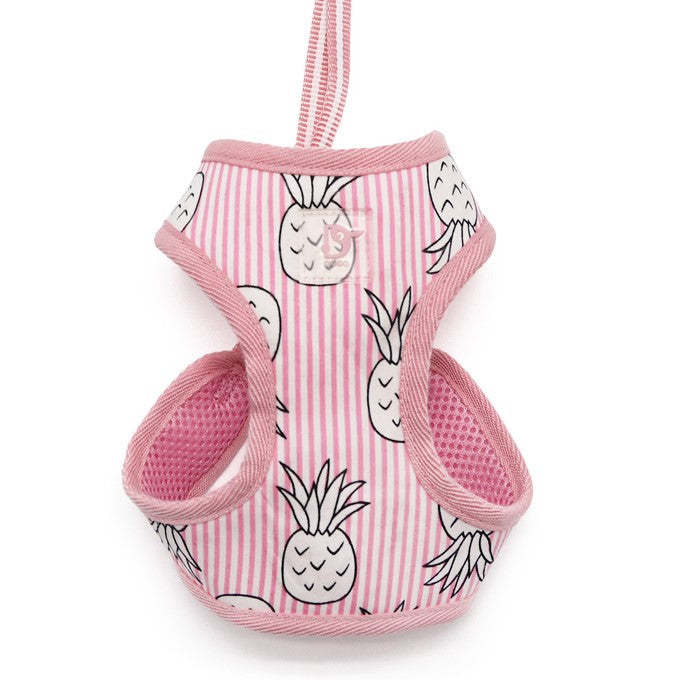 DOGO EasyGO Pineapple Stripe Dog Harness and Leash Set