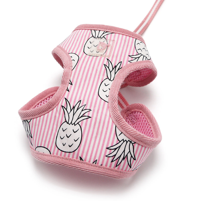 DOGO EasyGO Pineapple Stripe Dog Harness and Leash Set