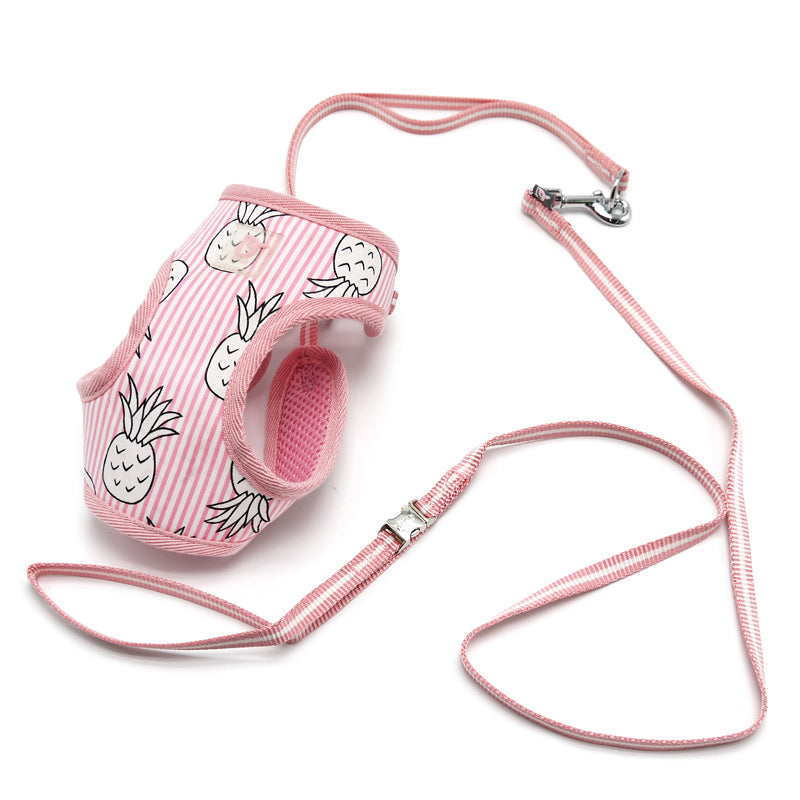 DOGO EasyGO Pineapple Stripe Dog Harness and Leash Set