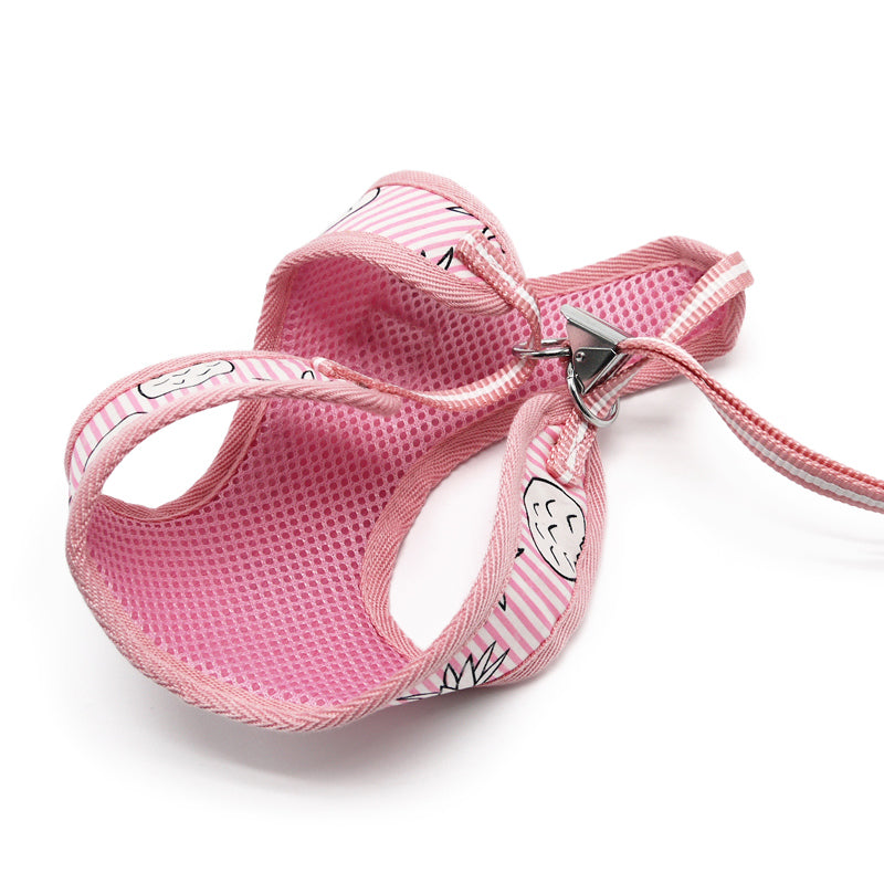 DOGO EasyGO Pineapple Stripe Dog Harness and Leash Set