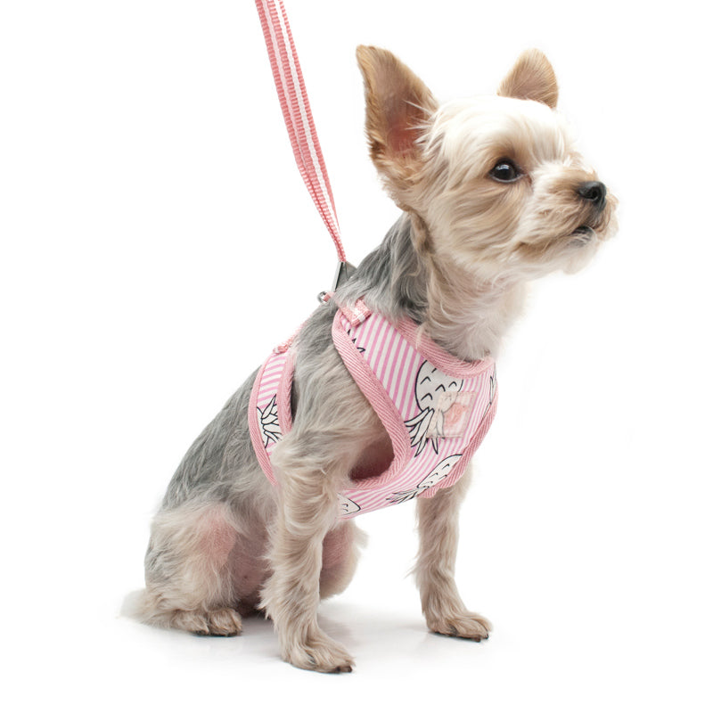 DOGO EasyGO Pineapple Stripe Dog Harness and Leash Set