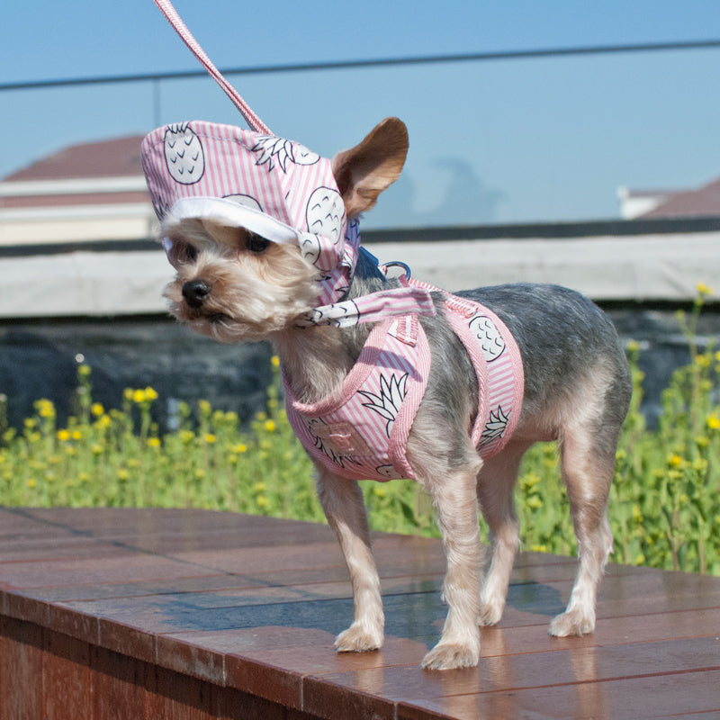 DOGO EasyGO Pineapple Stripe Dog Harness and Leash Set