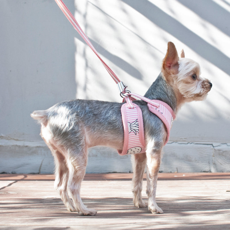 DOGO EasyGO Pineapple Stripe Dog Harness and Leash Set