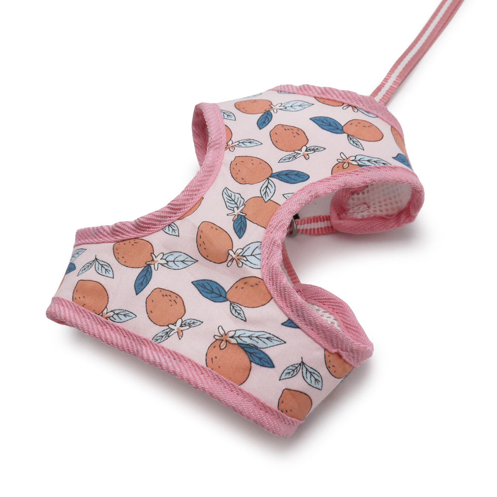 DOGO EasyGO Lemon Dog Harness and Leash Set
